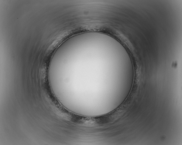 X0000116260113200912211744