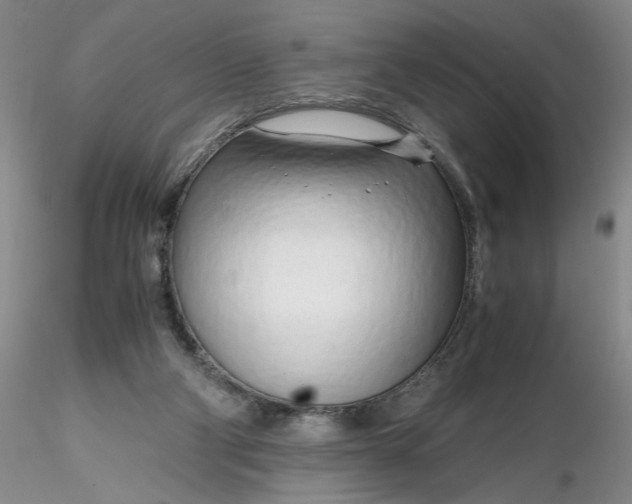X0000116260114200912211744