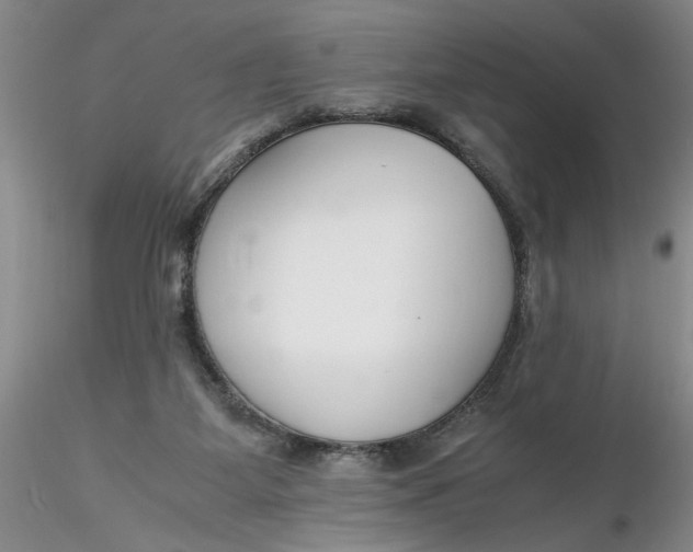 X0000116260115200912211744