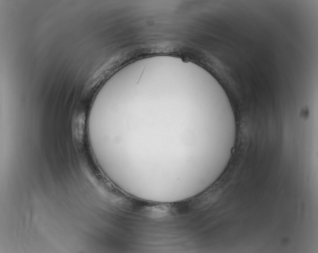 X0000116260118200912211744
