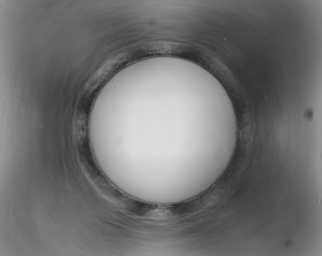 X0000116260119200912211744