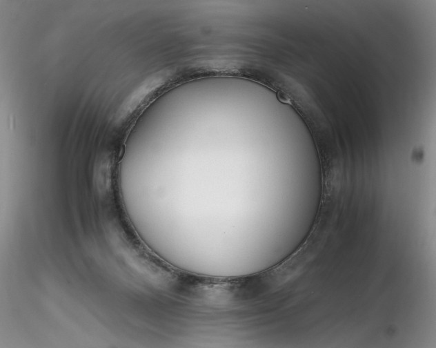 X0000116260120200912211744