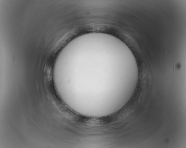 X0000116260123200912211744