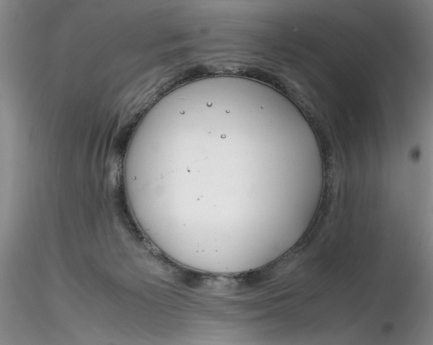 X0000116260125200912211744
