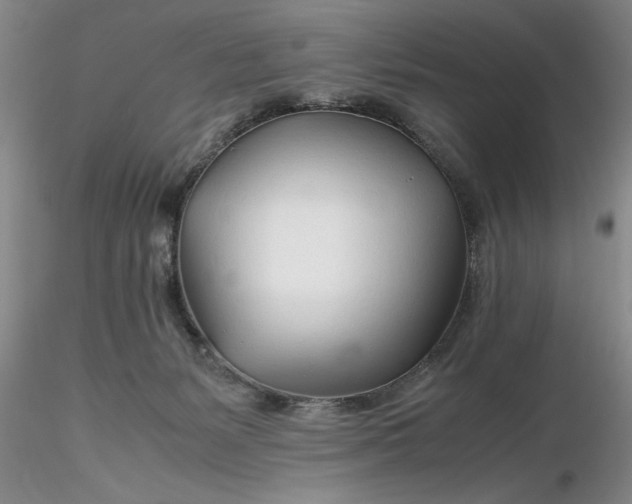 X0000116260127200912211744