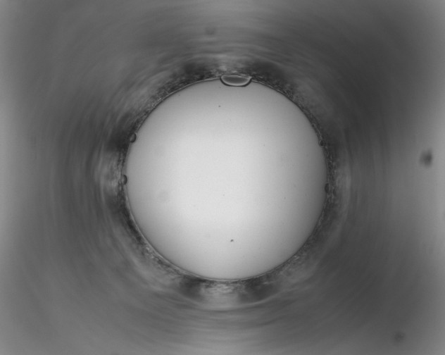 X0000116260129200912211744