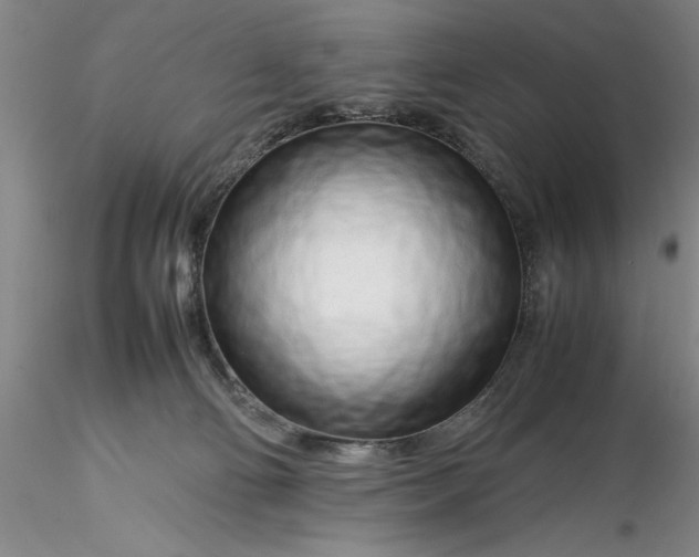 X0000116260130200912211744