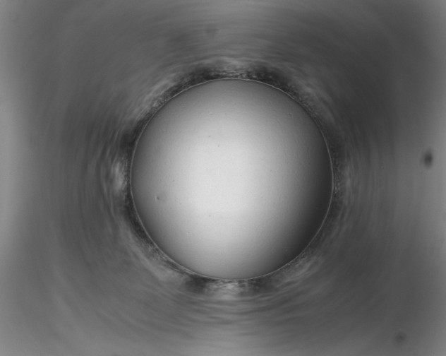 X0000116260131200912211744
