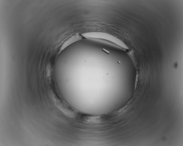X0000116260132200912211744