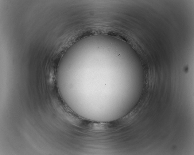 X0000116260134200912211744