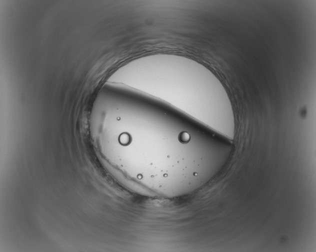 X0000116260137200912211744