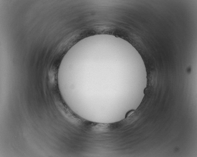 X0000116260138200912211744