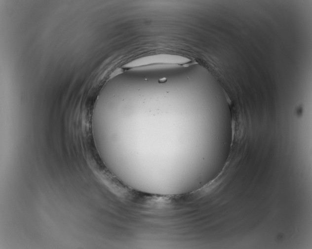 X0000116260140200912211744
