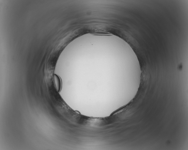 X0000116260141200912211744