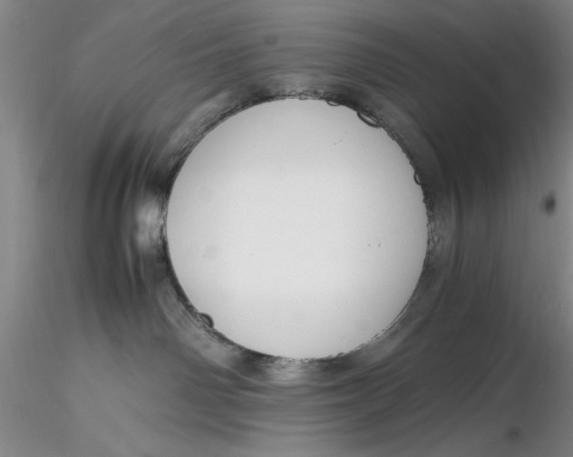 X0000116260142200912211744