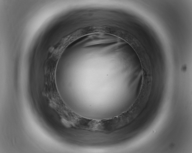 X0000116260143200912211744