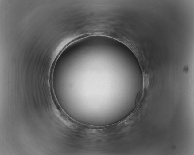 X0000116260147200912211743
