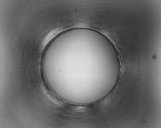 X0000116260151200912211743