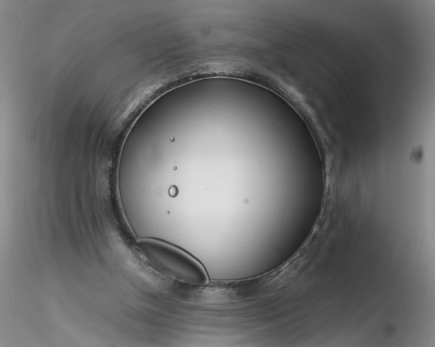 X0000116260154200912211744