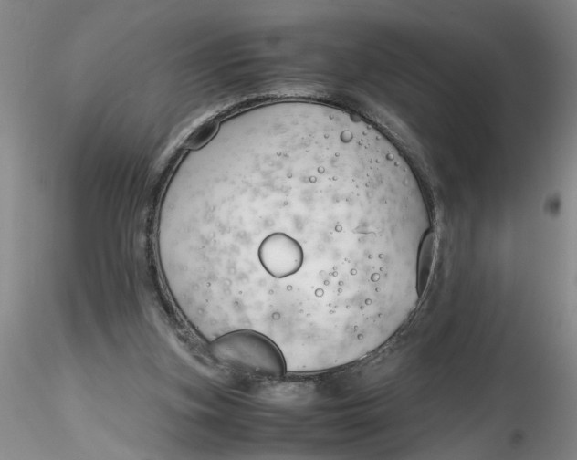 X0000116260155200912211744