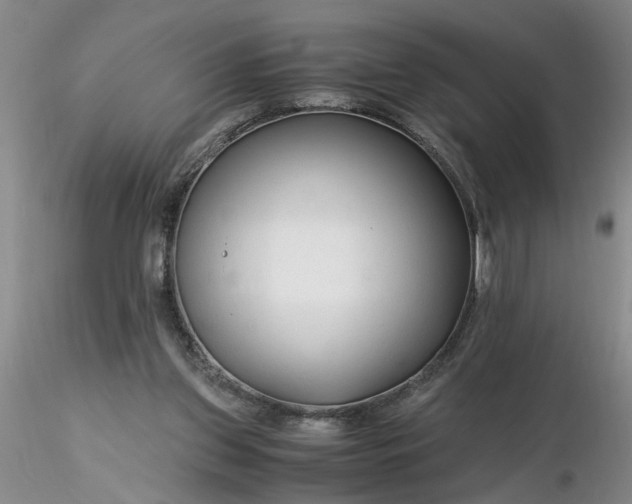 X0000116260157200912211744