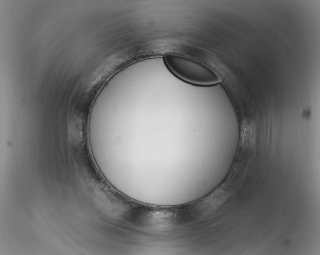 X0000116260158200912211744