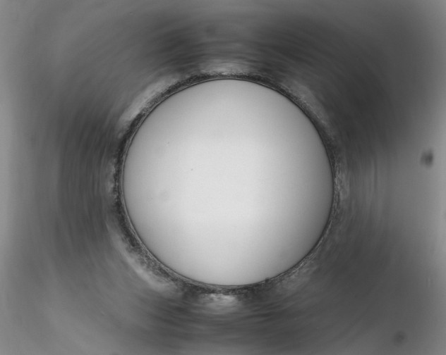 X0000116260159200912211744