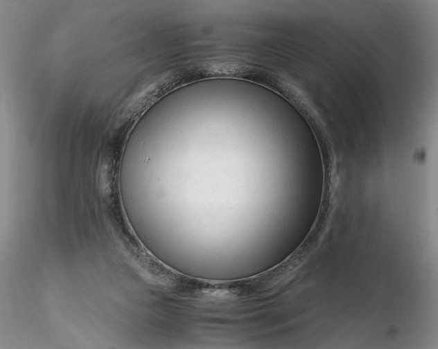 X0000116260161200912211744