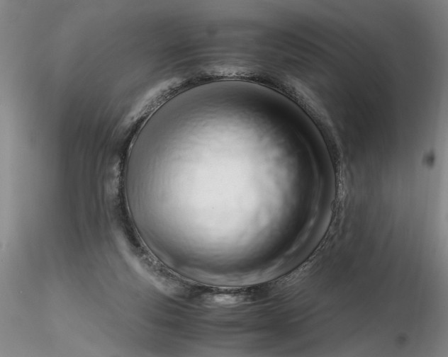 X0000116260163200912211744