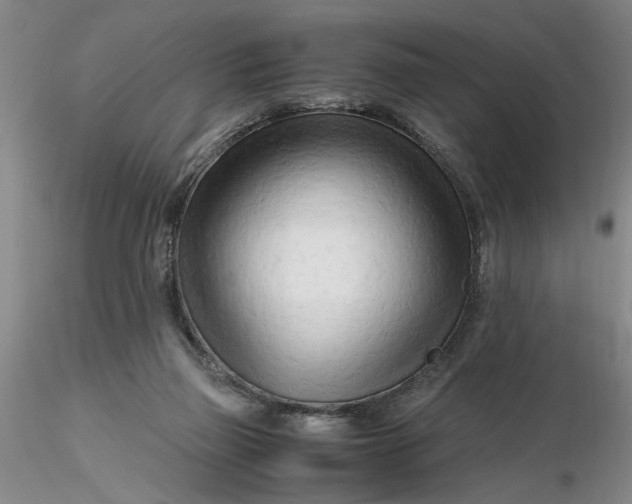 X0000116260165200912211744