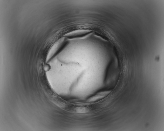 X0000116260169200912211744