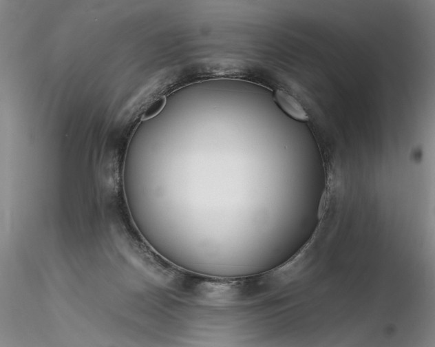 X0000116260170200912211744