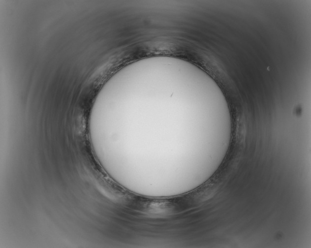 X0000116260173200912211744