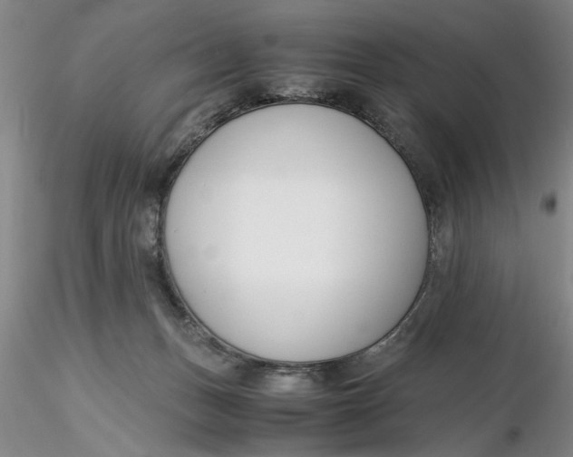 X0000116260175200912211744