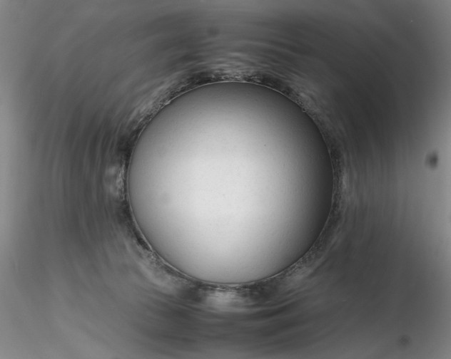 X0000116260177200912211744