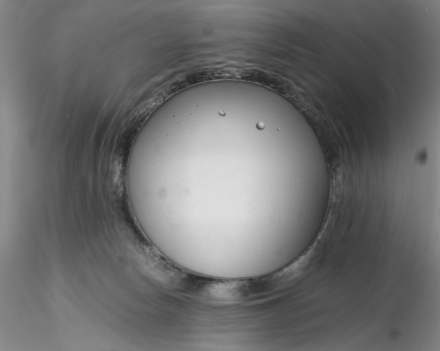 X0000116260178200912211744