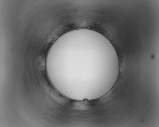 X0000116260179200912211744