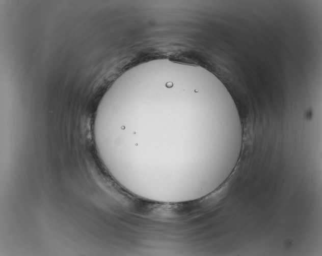 X0000116260182200912211744