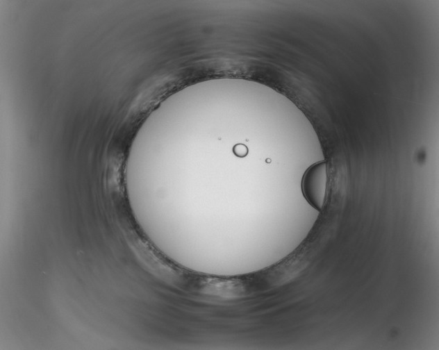 X0000116260185200912211744