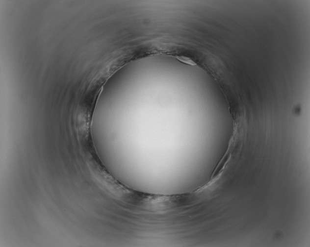 X0000116260186200912211744