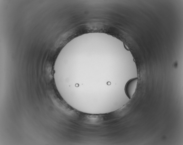 X0000116260187200912211744