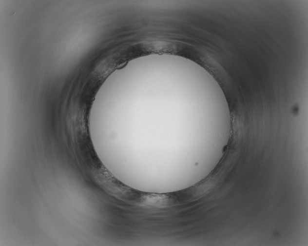 X0000116260189200912211744