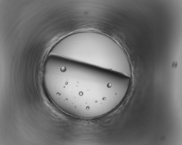 X0000116260193200912211743