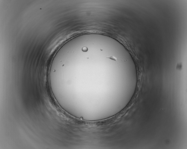X0000116260194200912211743