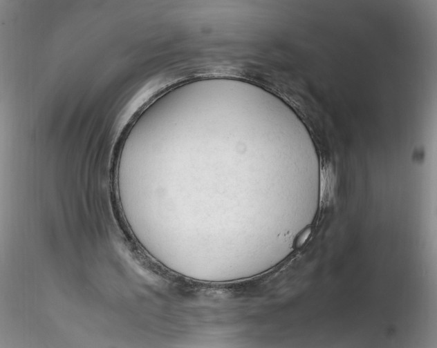 X0000116260195200912211743