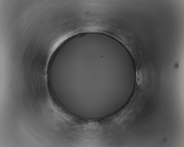 X0000116260196200912211743