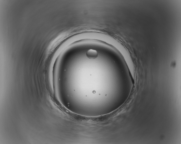 X0000116260197200912211743