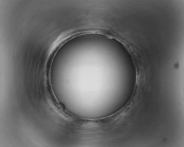 X0000116260198200912211743