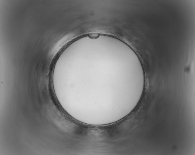 X0000116260199200912211743