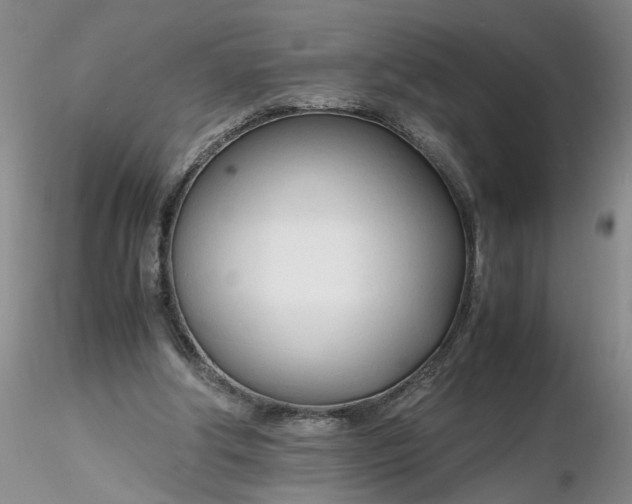 X0000116260202200912211743